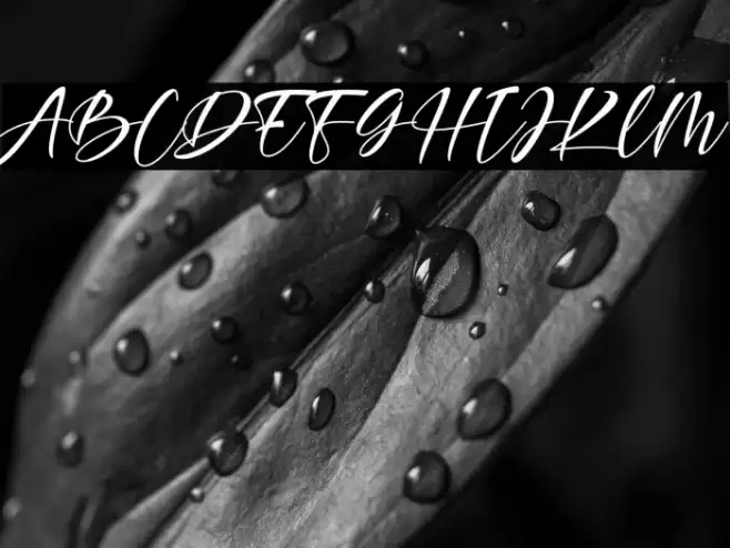 Agellia Benitta Fonte examples