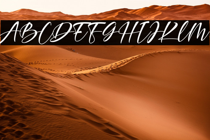 Agellia Benitta Example 3