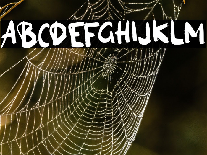 Agen Giveaway Example 1