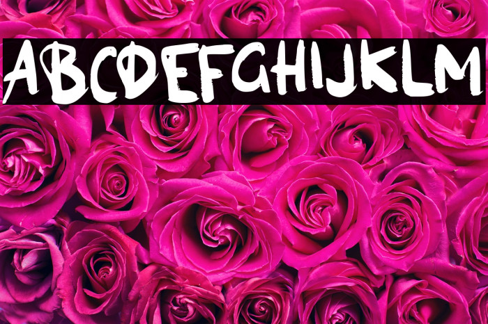 Agen Giveaway Example 2