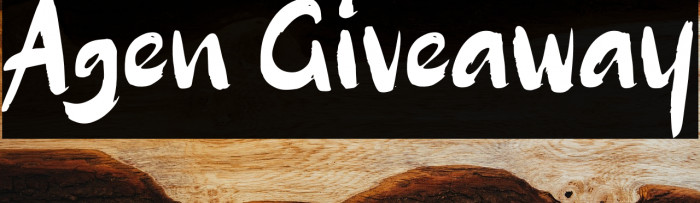 Agen Giveaway Example 1