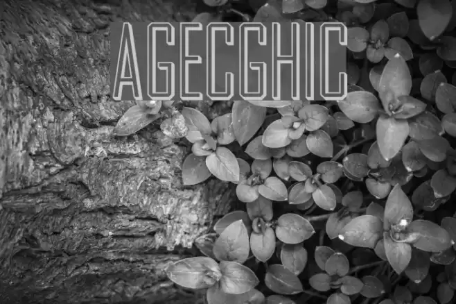 AgencyGothic Font examples