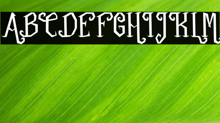 Agenda Fantasy Demo Regular Example 2