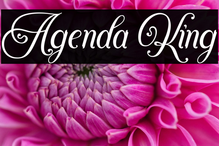 Agenda King Example 2