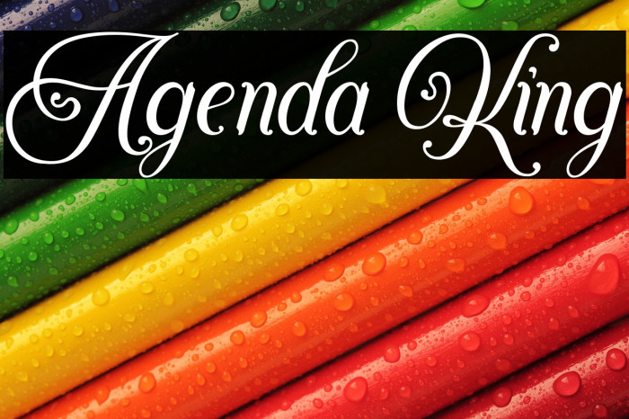 Agenda King Example 1