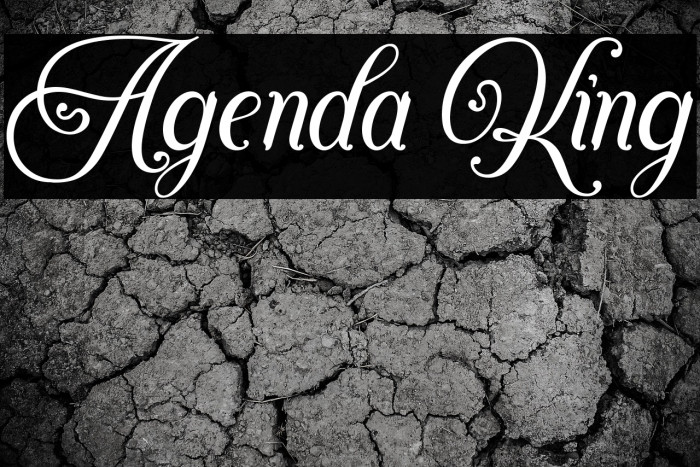 Agenda King Example 2