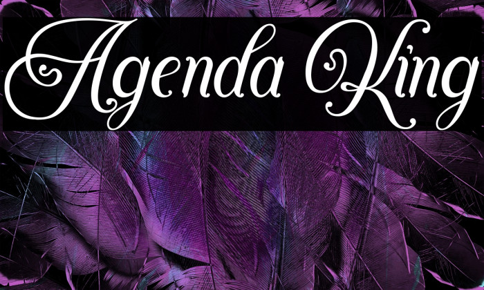 Agenda King Example 3