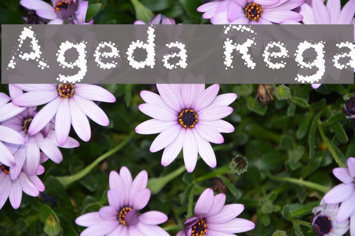 Agenda Regular Fuentes examples