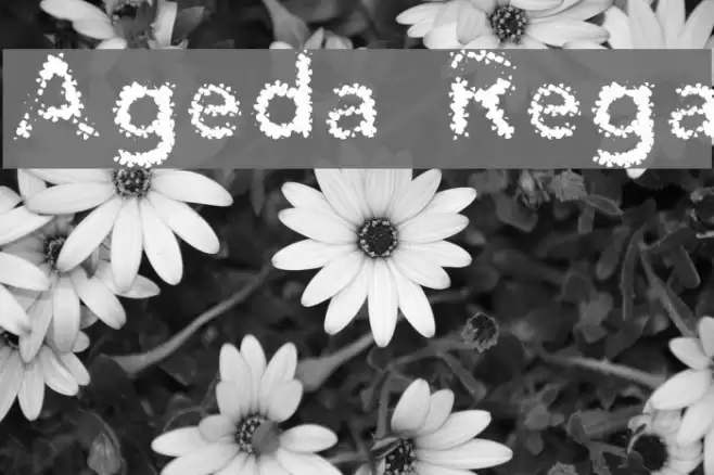 Agenda Regular Fuentes examples