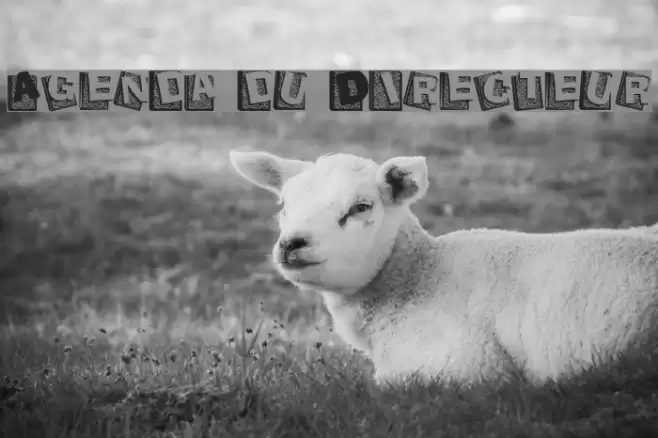 Agenda du Directeur Fuentes examples