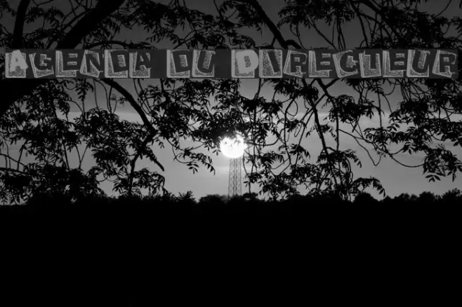 Agenda du Directeur Fuentes examples