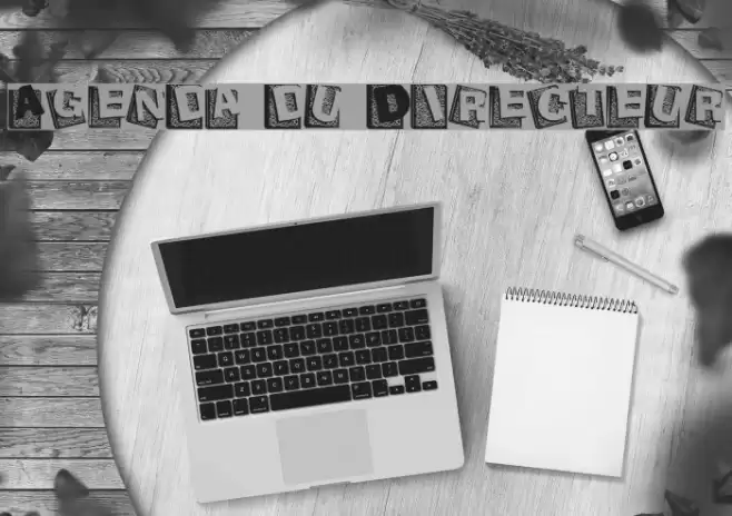Agenda du Directeur Fuentes examples