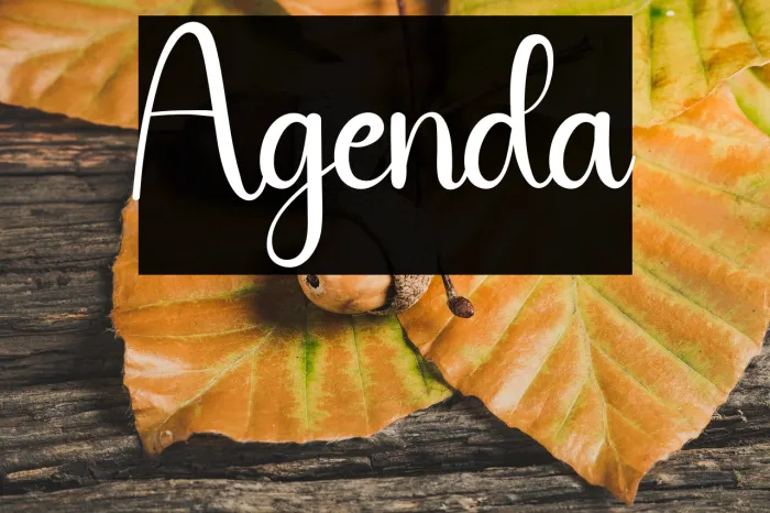 Agenda Example 2