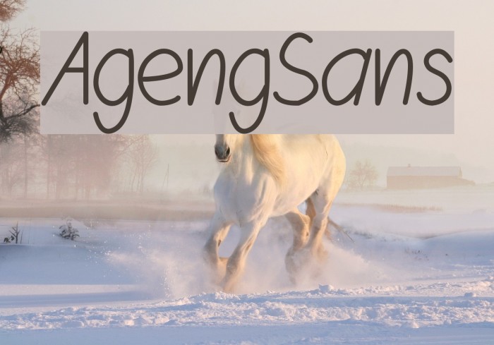AgengSans Font examples