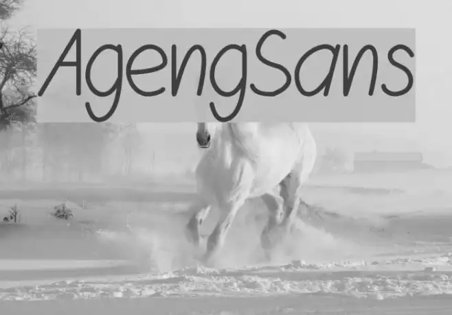 AgengSans Example 1