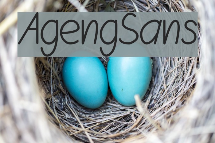 AgengSans Font examples