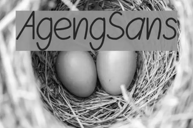 AgengSans Example 3
