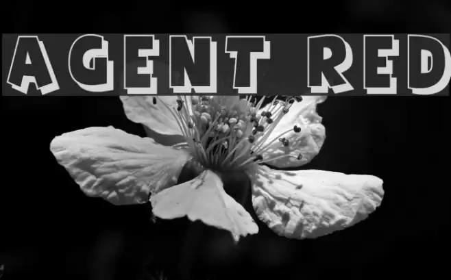 Agent Red Font examples