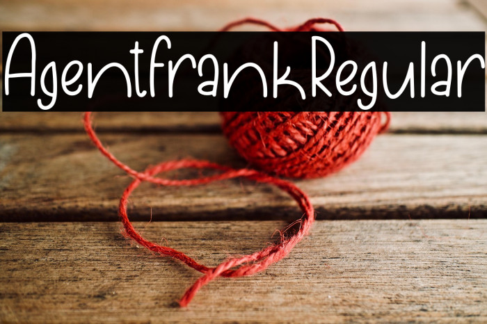 AgentFrankRegular Example 1