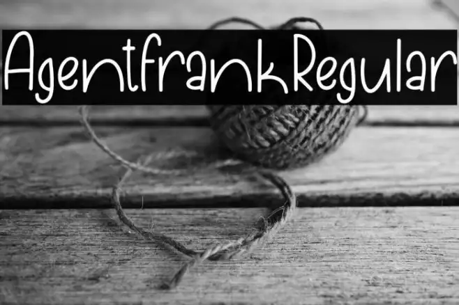 AgentFrankRegular Example 1