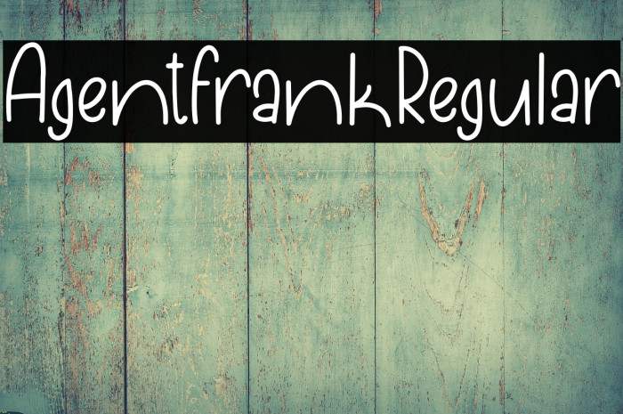 AgentFrankRegular Example 2