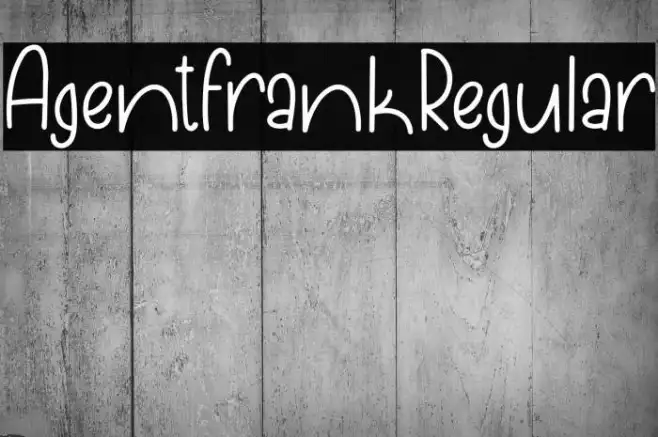 AgentFrankRegular Example 2