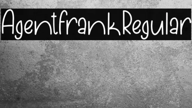 AgentFrankRegular Example 3