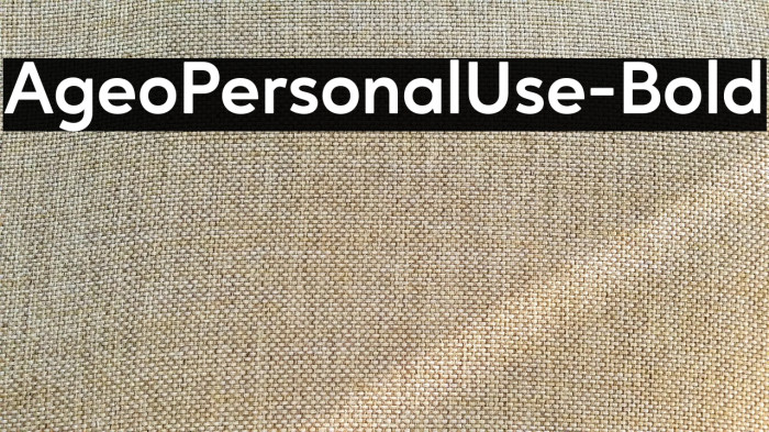 AgeoPersonalUse-Bold Example 2