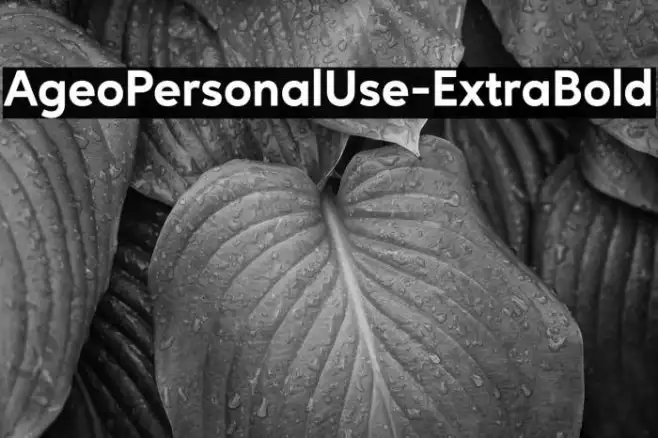 AgeoPersonalUse-ExtraBold Example 3