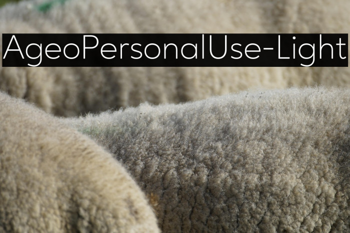 AgeoPersonalUse-Light Example 2