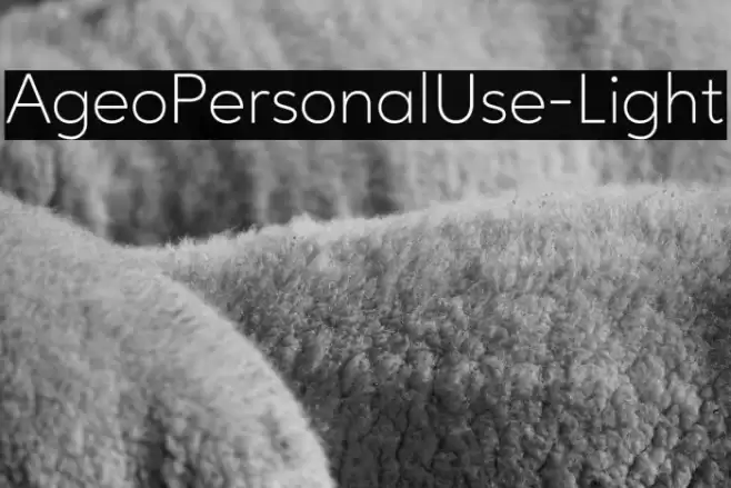 AgeoPersonalUse-Light Font examples