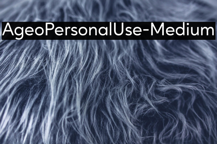 AgeoPersonalUse-Medium Example 1