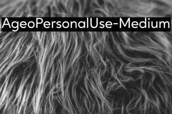 AgeoPersonalUse-Medium Caratteri examples