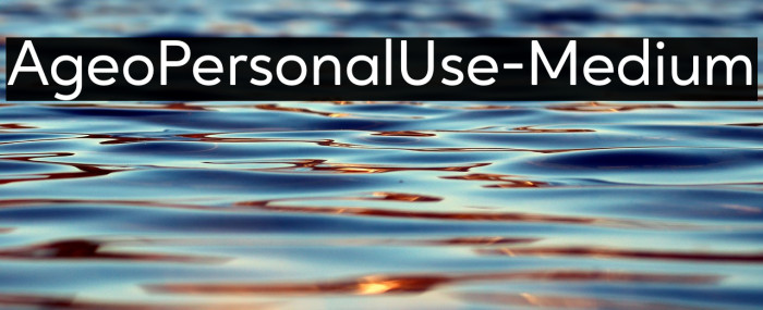 AgeoPersonalUse-Medium Example 3