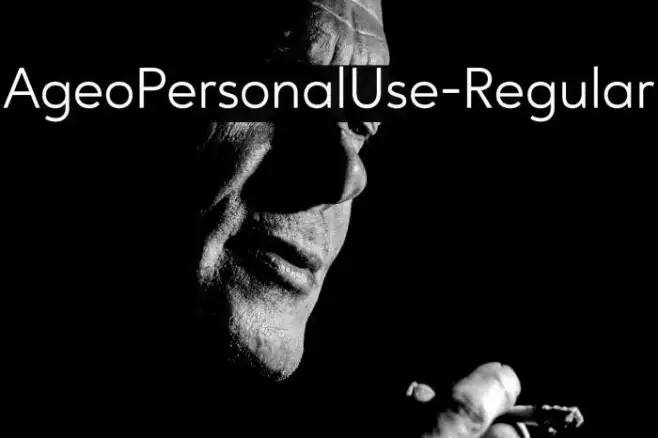 AgeoPersonalUse-Regular Example 2