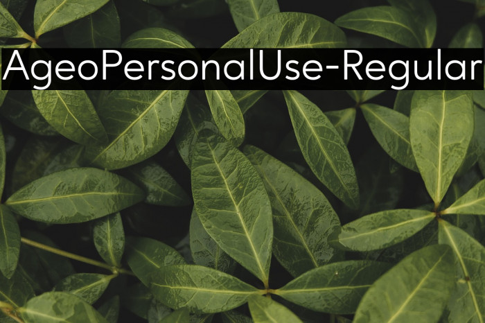 AgeoPersonalUse-Regular Example 3