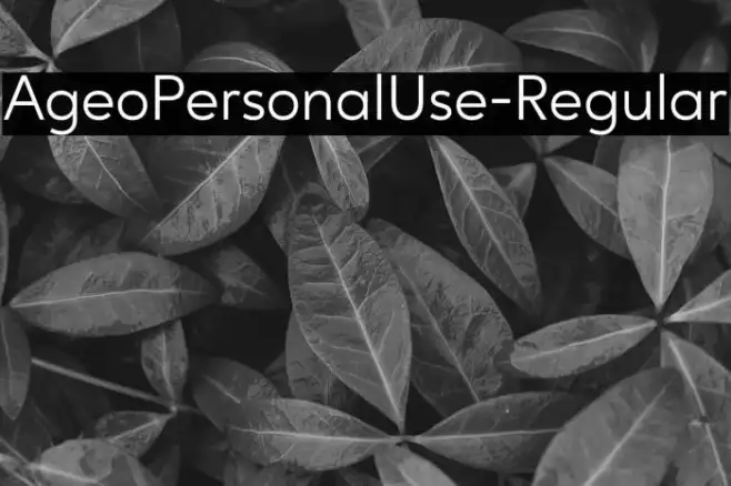 AgeoPersonalUse-Regular Example 3