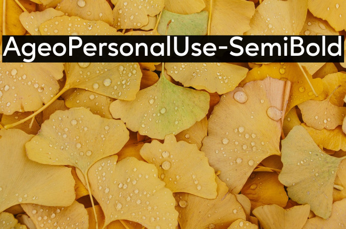 AgeoPersonalUse-SemiBold Example 3