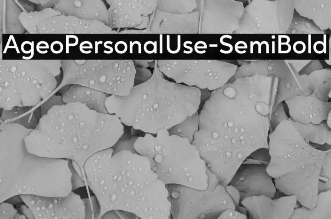 AgeoPersonalUse-SemiBold Example 3