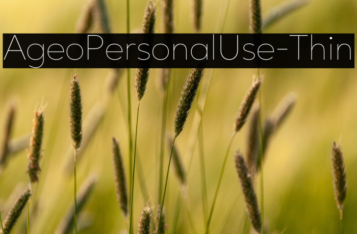 AgeoPersonalUse-Thin Example 1