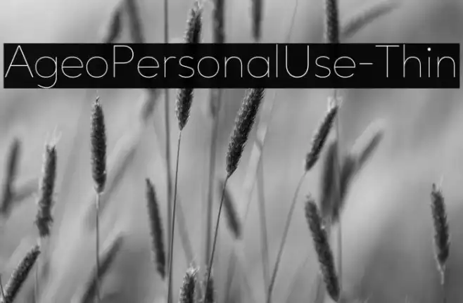 AgeoPersonalUse-Thin Example 1
