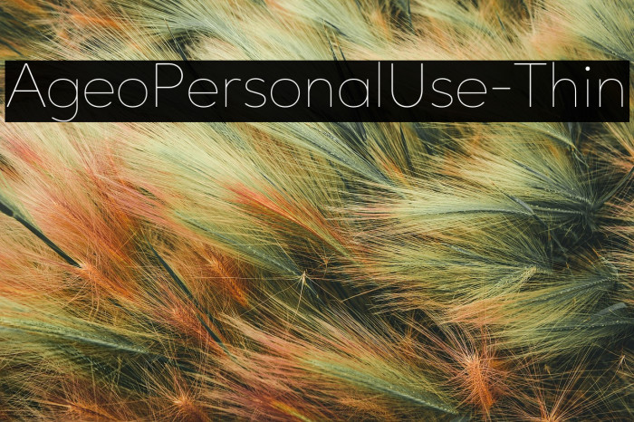 AgeoPersonalUse-Thin Example 2