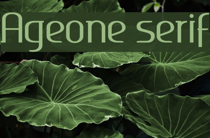 Ageone serif Font examples