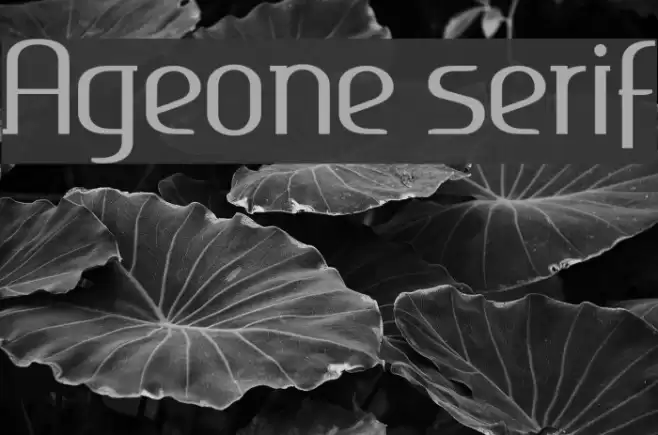 Ageone serif フォント examples