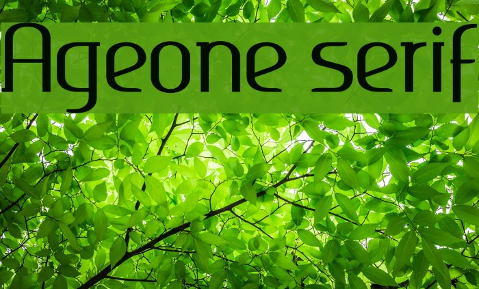 Ageone serif Font examples