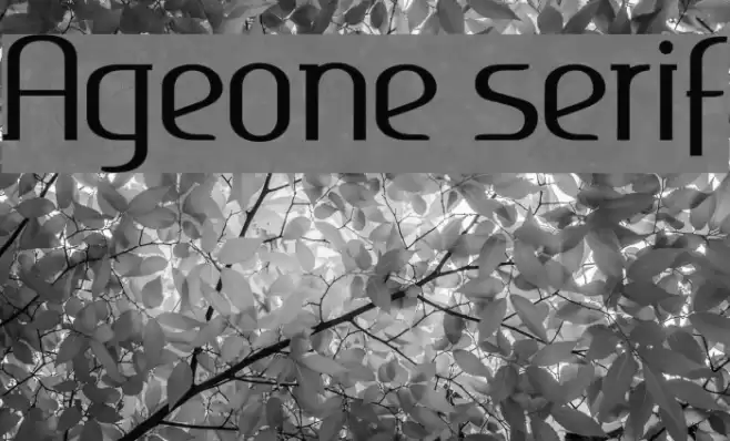 Ageone serif フォント examples