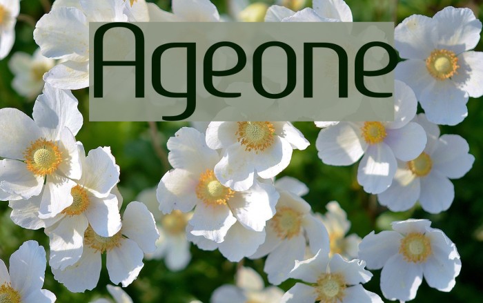 Ageone Font examples