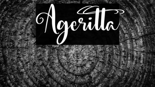Ageritta Example 1
