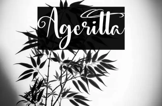Ageritta Example 3
