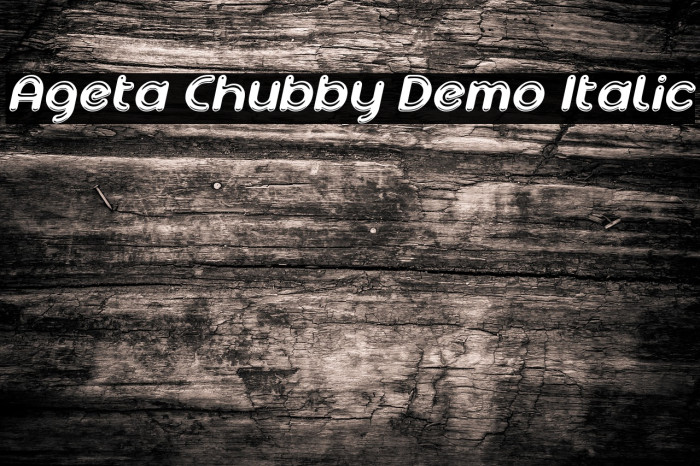 Ageta Chubby Demo Italic Polices examples